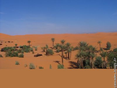 el deserto
